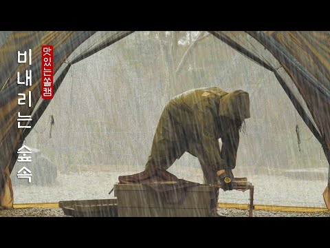 Rain in the forest ☔, the sound of burning firewood, all kinds of birds, rain camping