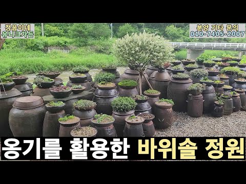 2023-37 Rock Pine Garden Using Joseon Dynasty Pottery (Ttarak Pension, Myeonggae-ri, Naemyeon, Ho...