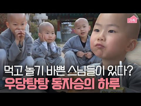 (40분) 천방지축 동자승들 덕분에 한시도 조용할 틈 없는 무심사의 하루🤗｜휴먼다큐 당신의 이야기｜JTBC 120507 방송