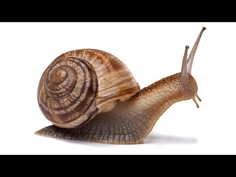 The tense you didn't know existed | Canguro English