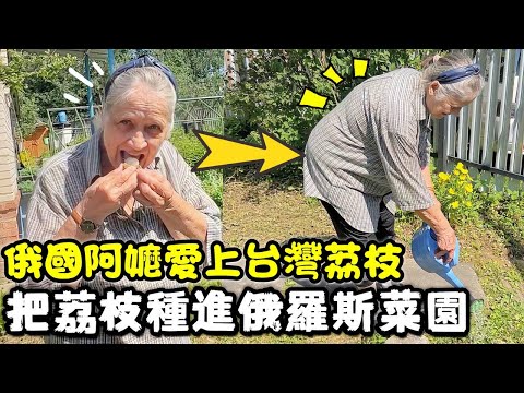 【第一次吃台灣水果】俄國人瘋了! 百香果怎麼有俄羅斯魚子醬的味道?