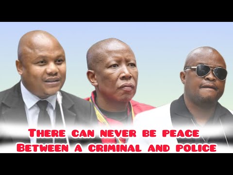 MPs cooking Brown Mogotsi,' There can never be peace between a criminals and the police"