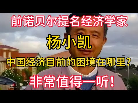 【前诺贝尔提名经济学家  杨小凯】中国目前经济的困境在哪里？非常值得一听！