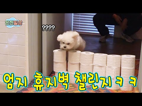 Thumb paper wall challenge lol