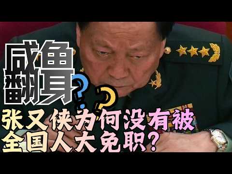 张又侠未提交全国人大罢免｜赵乐际力保？咸鱼翻身？