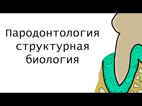 Основы пародонтологии