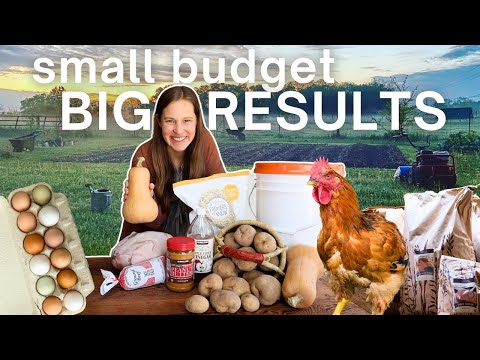 5 Strategies to SAVE on Food Costs!