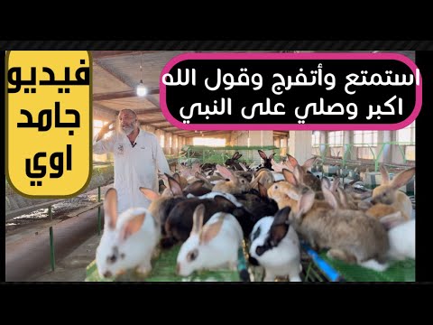 ‏من حلاوة الفيديو عايزك توصفه و تسميه أنت في التعليقات وقولي فهمت ايه ويستاهل والا￼