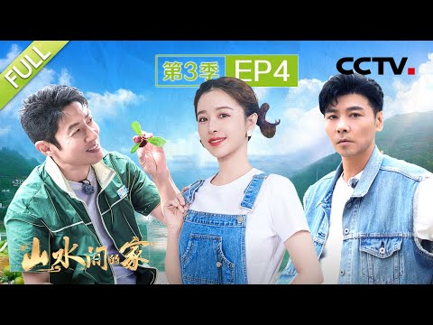 【Full】撒贝宁为仙居杨梅写打油诗，张晋爬树摘巫山脆李迎丰收 | CCTV「山水间的家 第三季」第4期 20240929