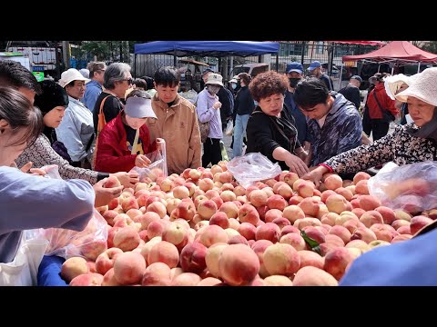 青海西宁最热闹的早市与美食街，香甜的玫瑰千层饼，名字奇怪的狗浇尿，沾满瓜子的新疆烤馕，西宁特色煎羊肠，中国最好吃的酸奶，青海特色干拌鱼，香豆子酥饼，西北特色牛奶鸡蛋醪糟，夏季限定美食青稞麦索。