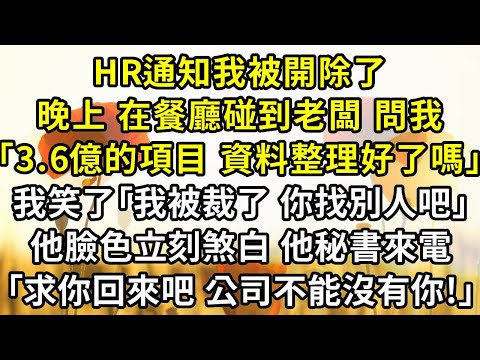 HR通知我被開除了.晚上,在餐廳碰到老闆問我「3.6億的項目,資料整理好了嗎」,我笑了「我被裁了,你找別人吧」,他臉色立刻煞白,他秘書來電「求你回來吧,公司不能沒有你!」