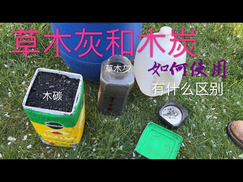 怎样把草木灰和木炭用在菜地里 草木灰和木炭有什么区别