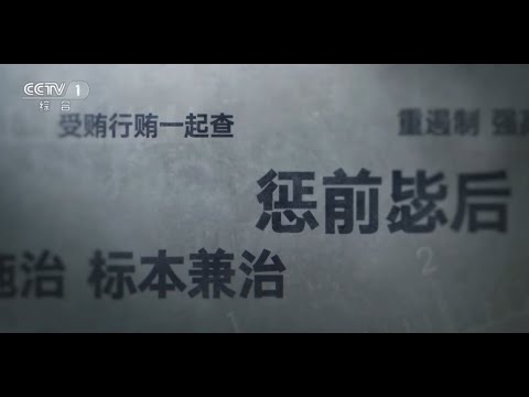 电视专题片《零容忍》第三集《惩前毖后》