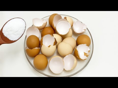 After Learning This Trick, I’ll Never Throw Away Eggshells Again!