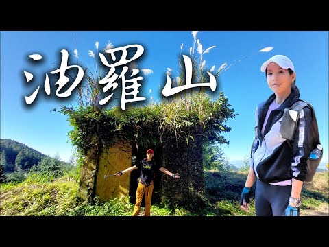 【油羅山】新竹五峰⛰️｜杉木林🪵｜超療癒的森林浴🌲｜高CP值最美大景林道🔭👀