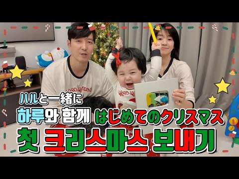 크리스마스・연말의 인사를 드리려고 하루와 트리를 장식하고 실버 버튼을 언박싱하면서 찍어 보았습니다 クリスマス・年末の挨拶をしようとハルとツリーを飾りつけて銀の盾を開封しながら撮ってみました