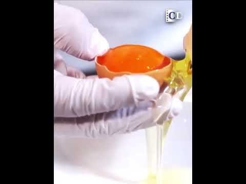 The secret of making rich but not greasy "Lion's head" meatballs | China Documentary