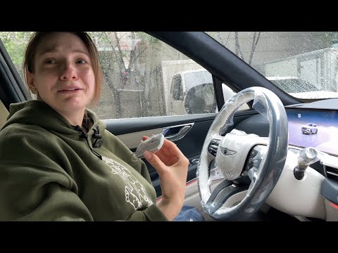 손주가져서 고맙다고 시아버지에게 자동차 선물받은 우크라이나 아내