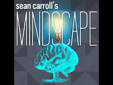 Episode 31: Brian Greene on the Multiverse, Inflation, and the String Theory Landscape