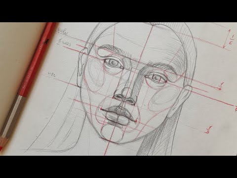 Как нарисовать портрет? Простая схема рисования лица человека. Пошаговые объяснения