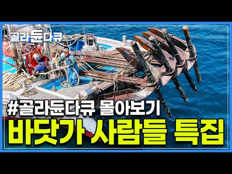 🏅꾼들만 모았다!✨줄기차게 올라오는 바다 해산물의 향연~ 역전의 바다! 어부들의 파란만장 항해기┃갈치잡이 / 꽃게잡이 / 가자미잡이┃만선 특집┃바닷가 사람들 몰아보기┃#골라듄다큐