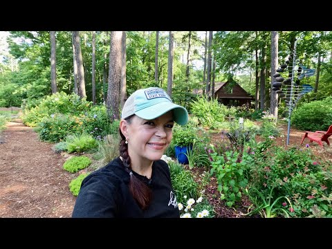 Garden Tour of a Mature Shade Garden | Gardening with Creekside