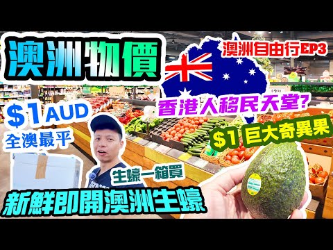 【澳洲自由行 2024 】🇦🇺香港人移民首選？ | 💸生活日常超市用品大搜購 $1/隻 全澳最平即開生蠔｜免費近距離觀看野生海獅 | 澳洲自駕遊 悉尼 墨爾本 塔斯曼尼亞 EP3