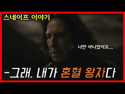 스네이프는 왜 혼혈 왕자가 되었을까? 세베루스 스네이프 이야기