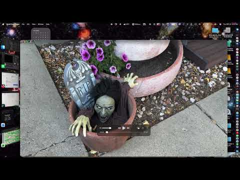 Zombie, Inside NeXT Book 2025, Flying Tree Stump, 3d Print, Previous running NeXTSTEP on MACOS Tahoe