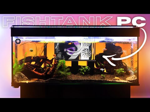 I built a submerged gaming PC... with real fish