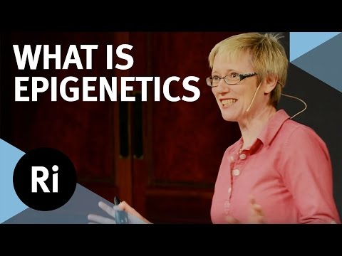 What is Epigenetics? - with Nessa Carey