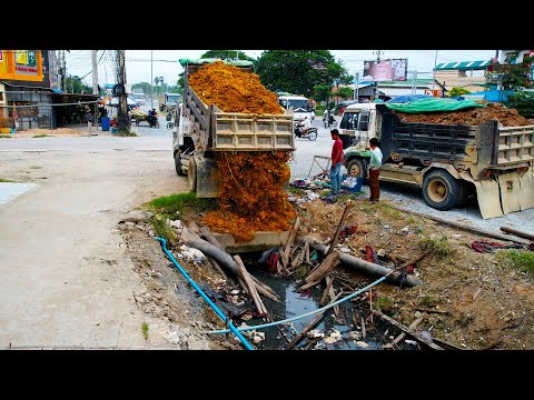 First Start a New Landfill Project! Delete Flooded Canal Along Highway Using Dozer D20P & 5Ton Truck