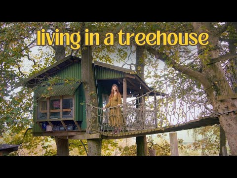 My Quiet Life Alone in a Treehouse