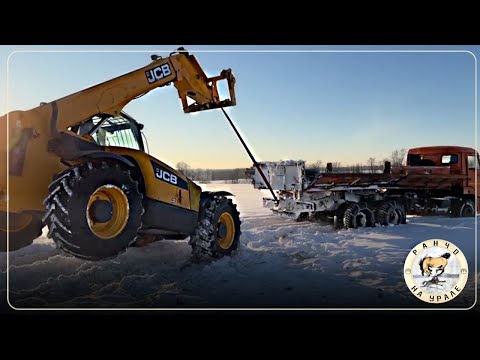 He went into the forest alone to find another group of Bashkir horses | Another weekday in the vi...