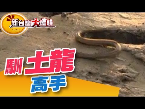 馴龍高手抓土龍！土龍酒偷偷大公開！一日小當家...助手 挑魚、洗鍋 一手包《新台灣大體驗》第142集 廖慶學