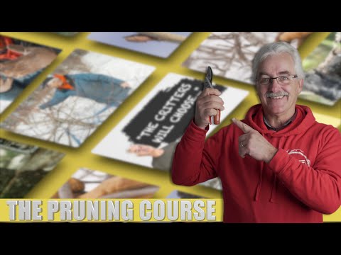 SAVE your old/dying Fruit Tree using THIS simple PRUNING technique!