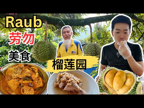 [Raub 劳勿～美食+榴莲园之旅] 廷叔猫山王休闲果园！东南美茶室！佈记云吞面！阿娥板面！田由强白切鸭！歌王劳勿传统客家茶粿！黄汉记茄汁面！胜荣花生厂！Ratha 咖喱鱼头！锦华饼家！蔡豆腐！逛巴刹