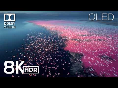 BREATHTAKING VIEWS in 8K (Dolby Vision™) HDR | ULTRA HD