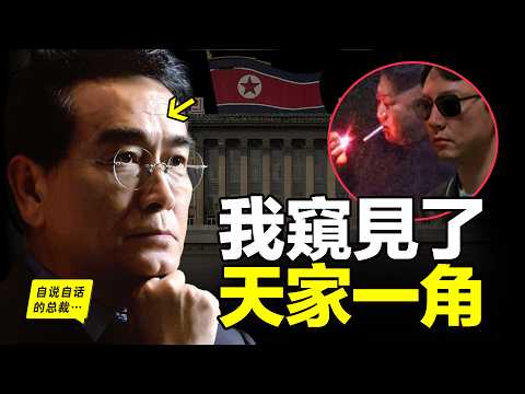 2015年，一位朝鮮外交官接到密令，於是他在英國展開了一場行動，他謹小慎微、如履薄冰，最後卻還是因為窺見「天家」一角，而決定逃亡……|自說自話的總裁