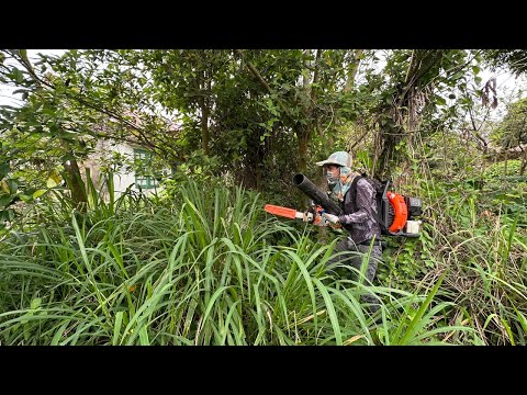 Garden Care Late Grandmother Girl want Clean Transform cut overgrown grass Growing vegetables ASMR