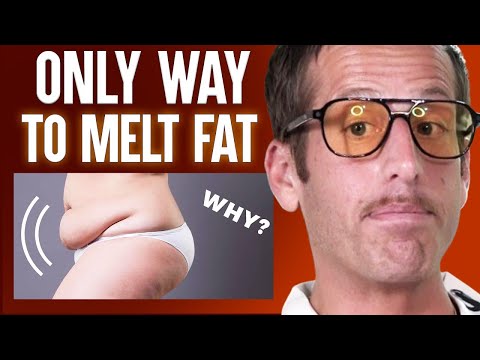 Why Your Belly Fat Won’t Disappear... & The Simple 14-Day Protocol To Fix It