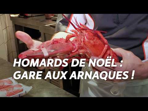 Lobsters for Christmas: beware of scams! How to avoid the traps?