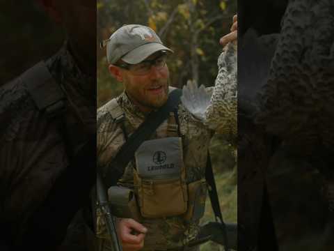 Dropping grouse while elk hunting #hunting #grousehunting #elk