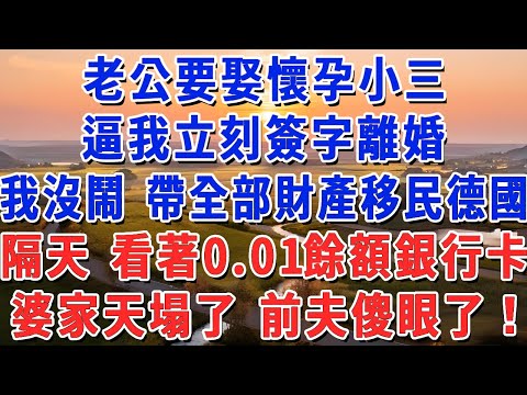 老公要娶懷孕小三，婆家7口人全同意，我沒鬧 帶全部財產移民德國，隔天 看著0.01餘額的銀行卡，婆家天塌了 前夫傻眼了！#妮妮故事會 #情感故事 #老年生活