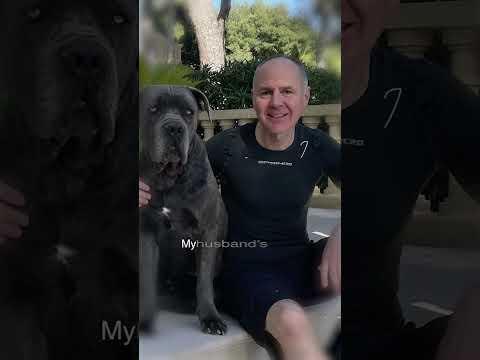 A Roman soldier for Heinz & Jin Xing beloved dog Goran