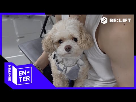 [EN-TER key] 다시 만난 니키와 비스코🐶 - ENHYPEN (엔하이픈)