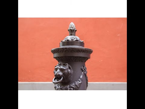 6 Tips To Avoid Photo Blur In Your Photos