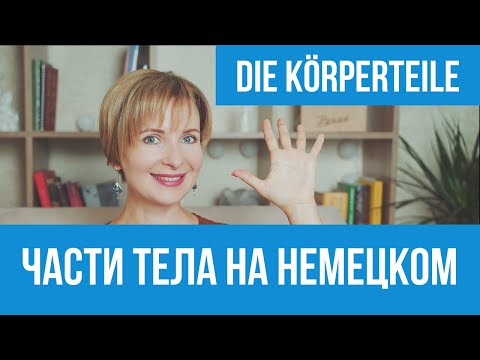 Части тела на немецком языке. Немецкий для начинающих.