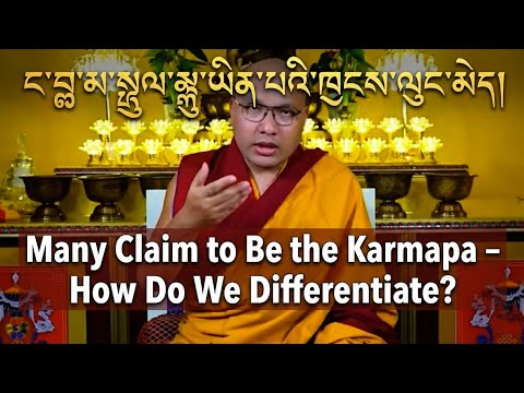 ང་བླ་མ་སྤྲུལ་སྐུ་ཡིན་པའི་ཁུངས་ལུང་མེད། Many Claim to Be the Karmapa – How Do We Differentiate?
