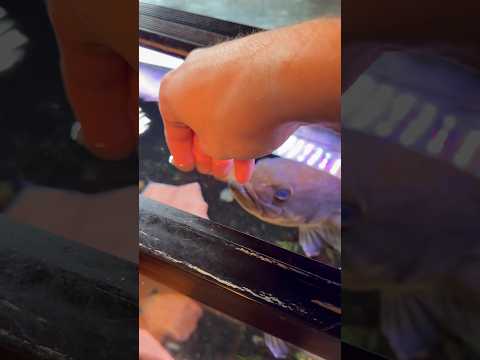 THIS WATER IS ABSOLUTELY FREEZING…